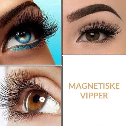 Magnetiske Vipper